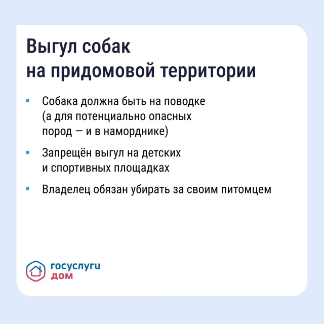Проживание животных в многоквартирном доме связано с определёнными обязанностями. Разбираемся, как в