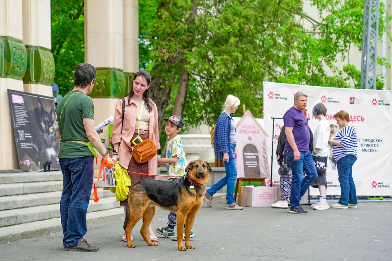 🐶 Фестиваль «Моспитомец» на ВДНХ