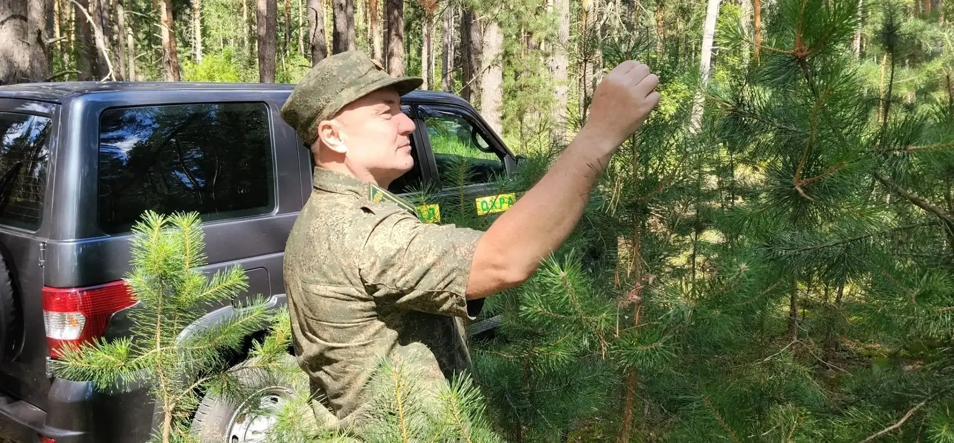 Август — последний месяц лета, и в нём будто бы сконцентрирована вся его прощальная пре...