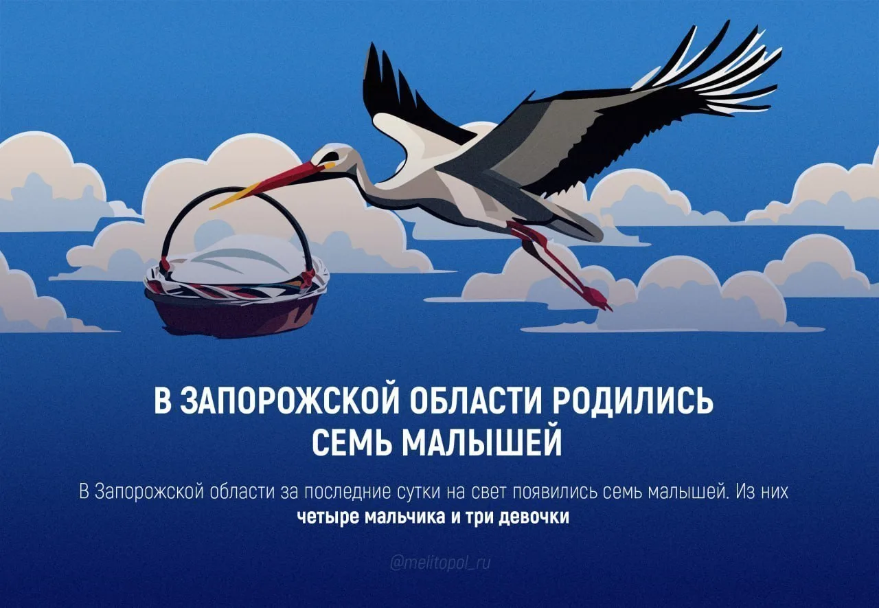 За сутки в Запорожской области родились семь малышей