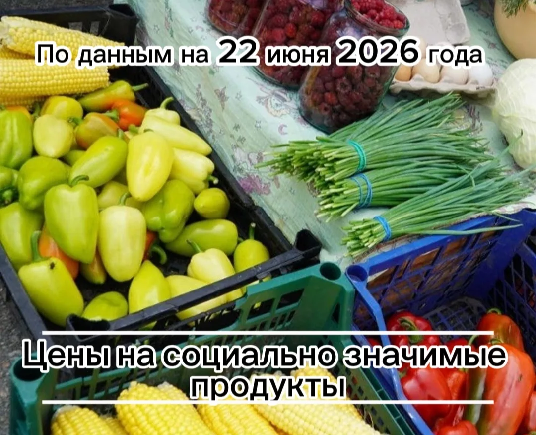Где дешевле всего купить необходимые продукты в посёлке Борисовка.