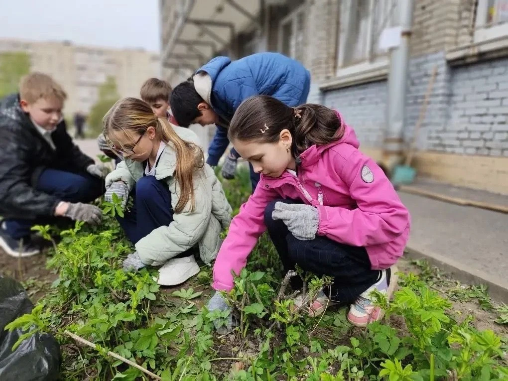 🌱МИР. ТРУД. МАЙ. ЭКОЛОГИЯ!