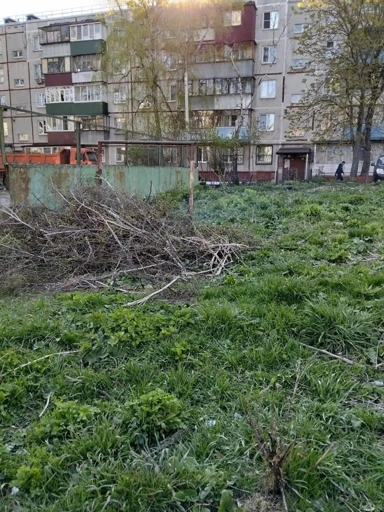 ООО «УК Сейм» выполнены работы по уборке и вывозу порубочных остатков с придомовой терр...
