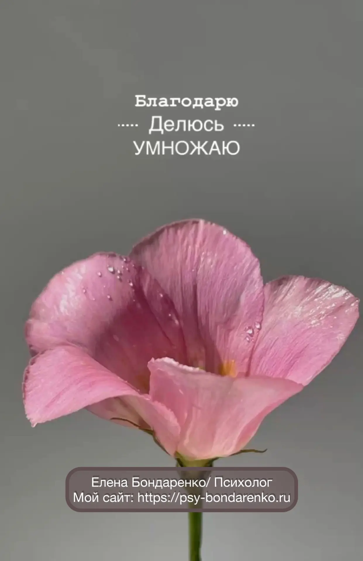 Суббота 🩵