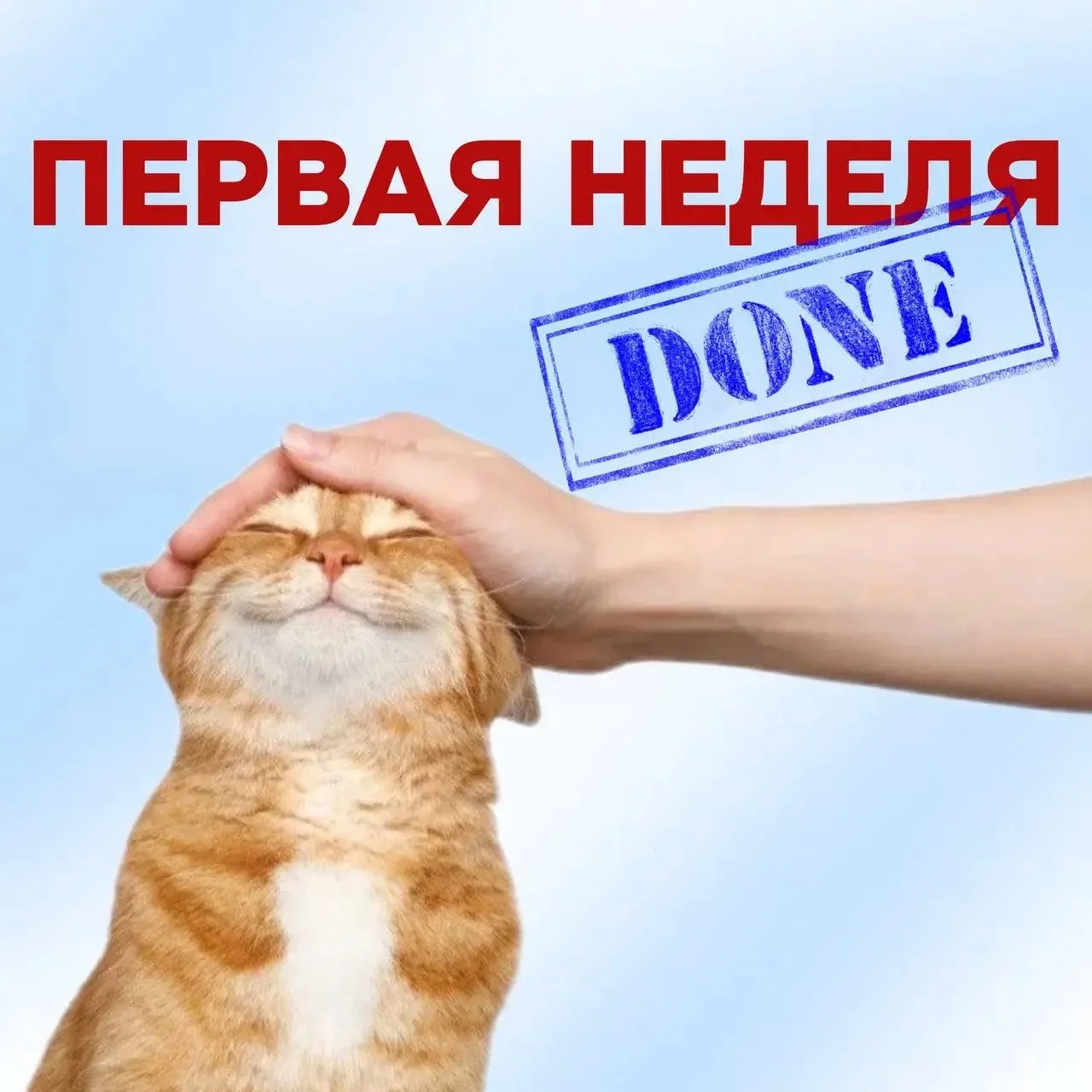 Первая учебная неделя позади!
