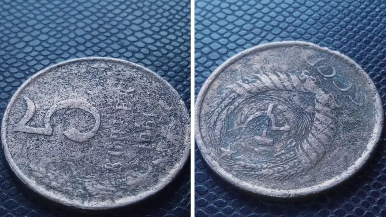 Новосибирец выставил на продажу монету за 12,5 млн рублей 😳

Горожанин разместил объявление о прода
