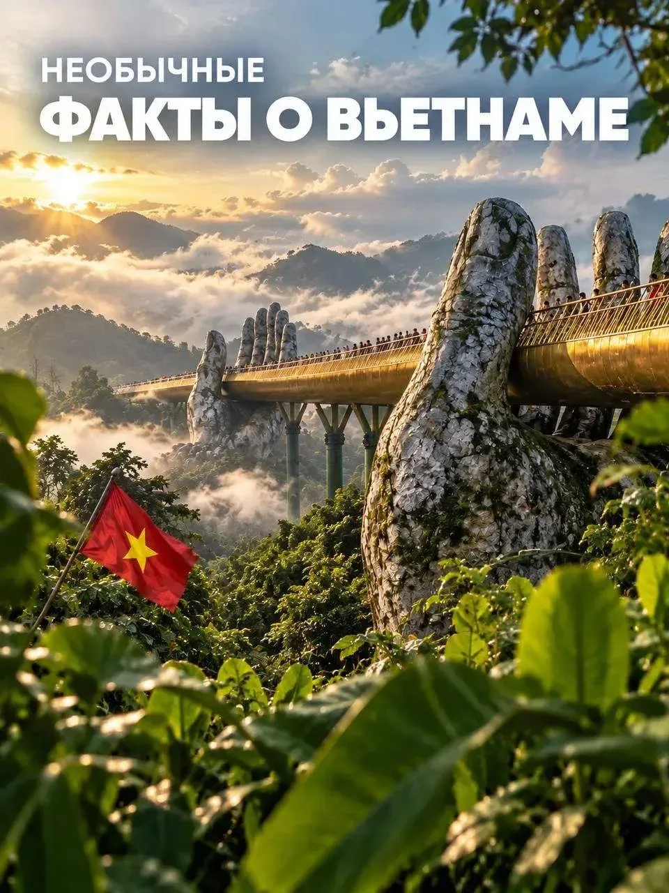 Необычные факты о ВЬЕТНАМЕ🏝️