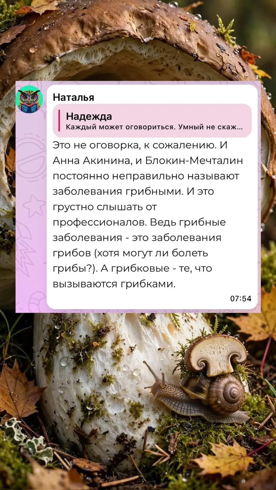 Изображение 3 к публикации «Zacvetet - Все зацветёт»