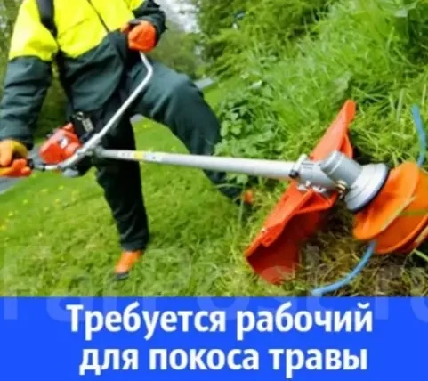 🔥🔥🔥СРОЧНО ТРЕБУЕТСЯ СОТРУДНИКИ НА ПОКОС ТРАВЫ🔥🔥🔥
Обязанности:
🌿Скос травы на гостевых маршрут