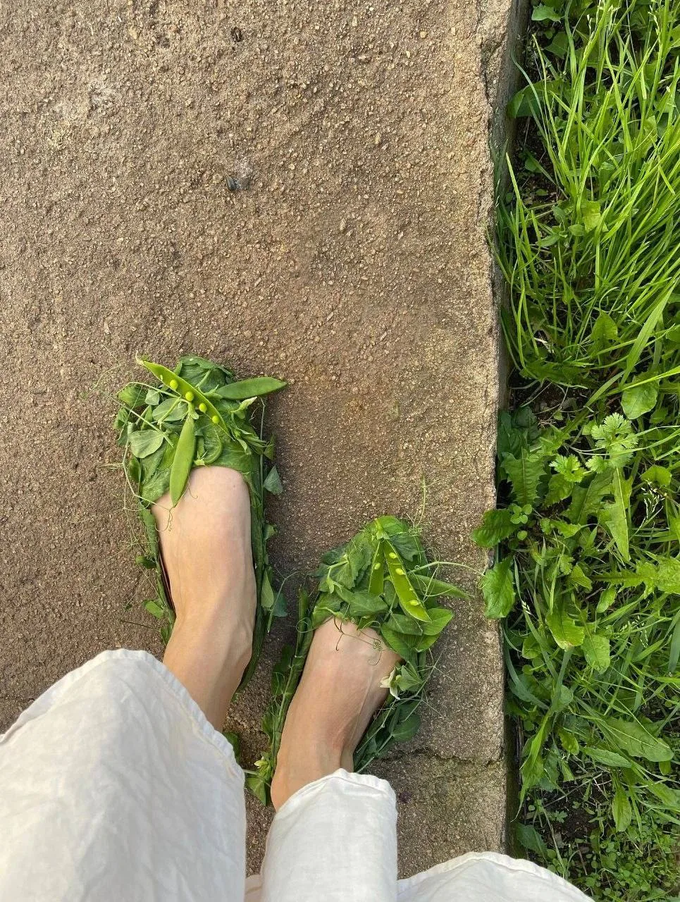 Доброе утро 💚
