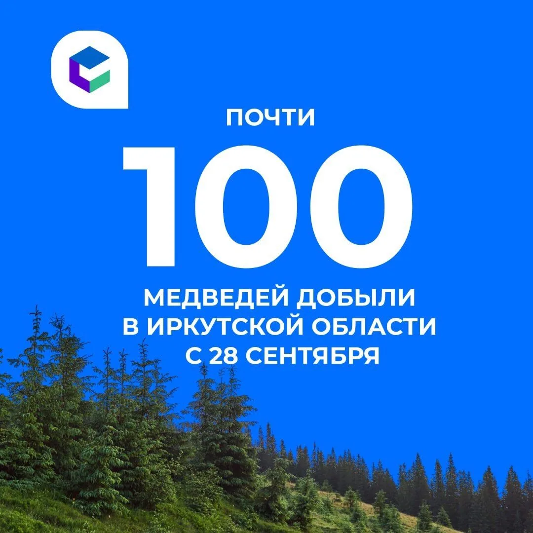 🐻461 сообщение о появлении медведей в Приангарье поступило в Систему-112 с 28 сентября...