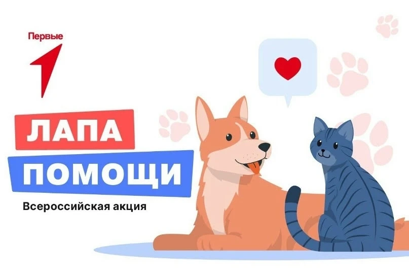 Наш детский сад вновь доказал, что делать добрые дела никогда не рано. На днях мы приня...