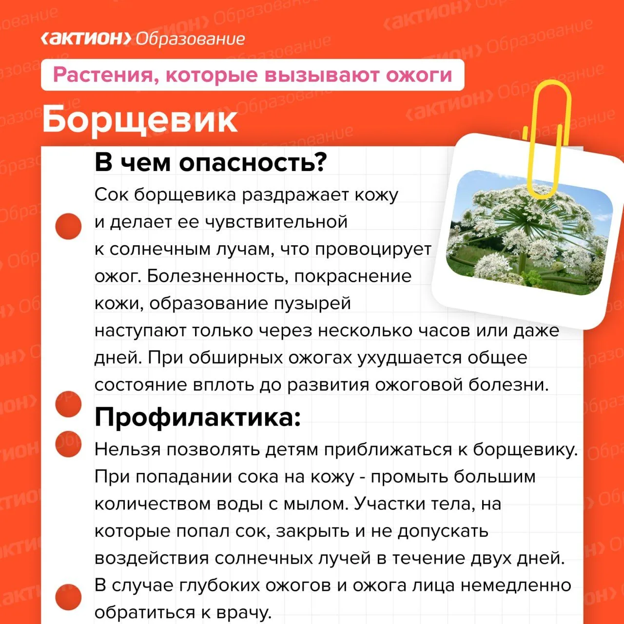 Медиа публикации