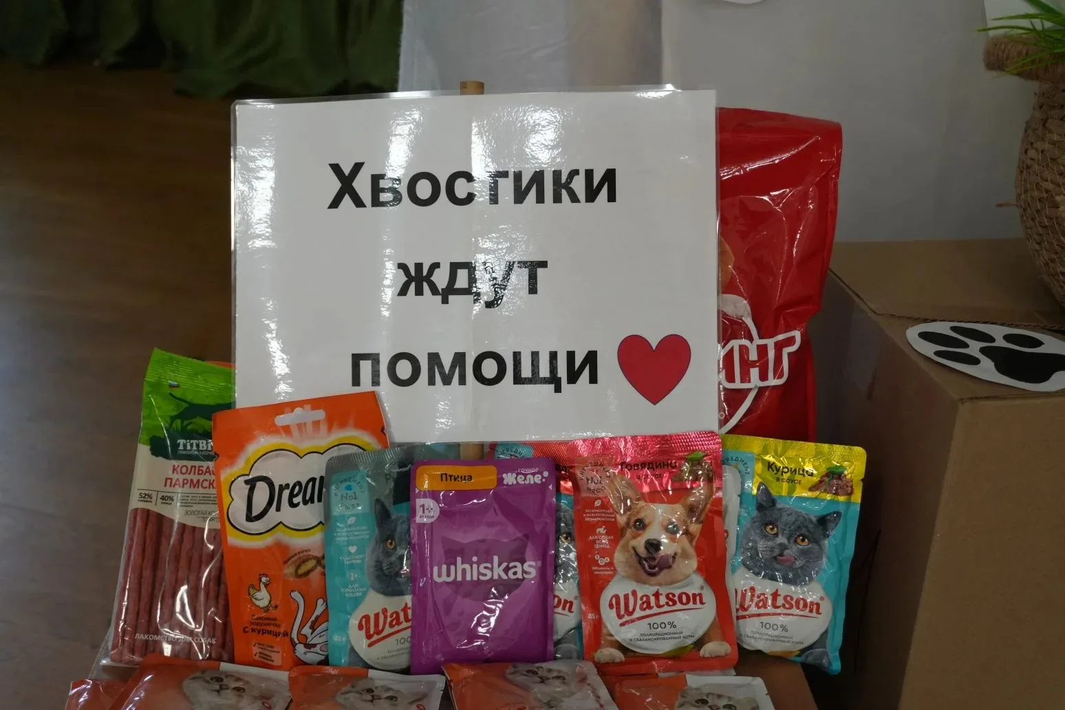 Добрые дела начинаются с малого  В школе №20 поселка Агроном прошла Благотворительная гаражная распр