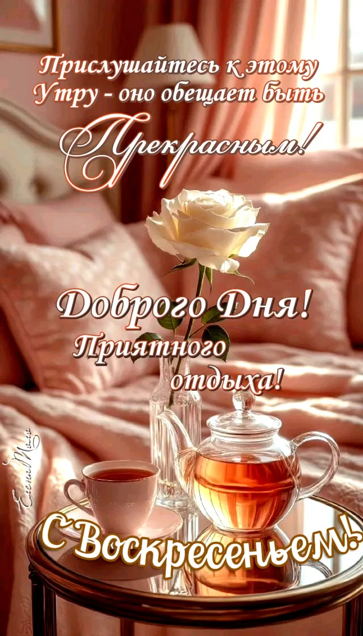 https://max.ru/invista123456