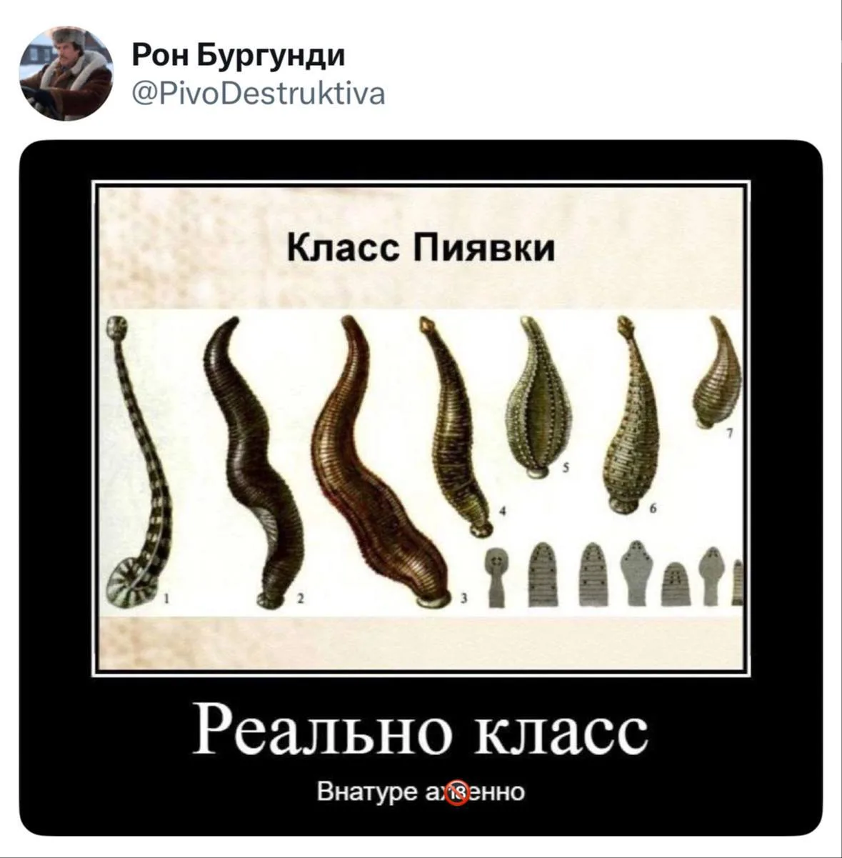 Ну не всему же юмору быть интеллектуальным