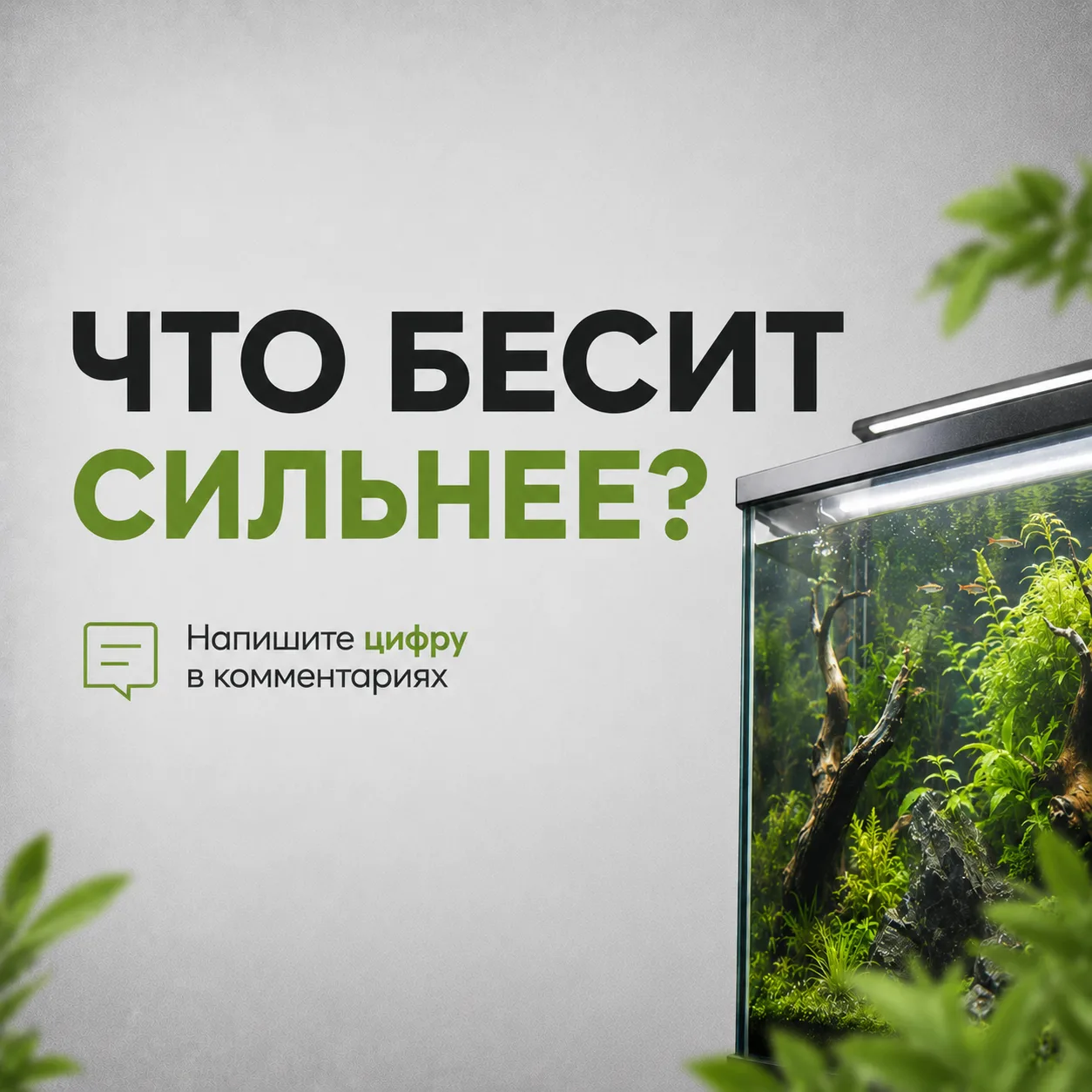 😅 Что бесит сильнее в аквариуме или террариуме?