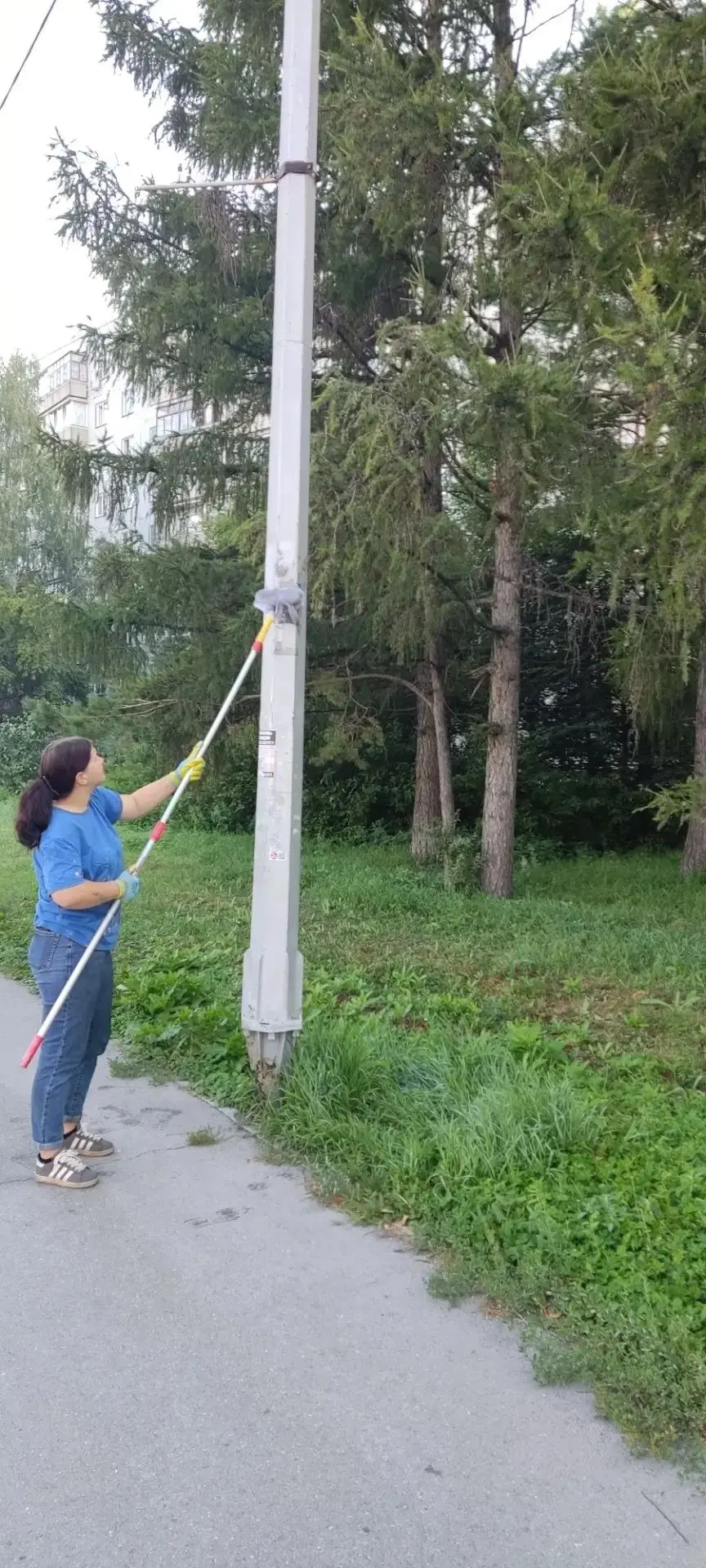 В Краснообске завершена покраска десятков опор освещения.