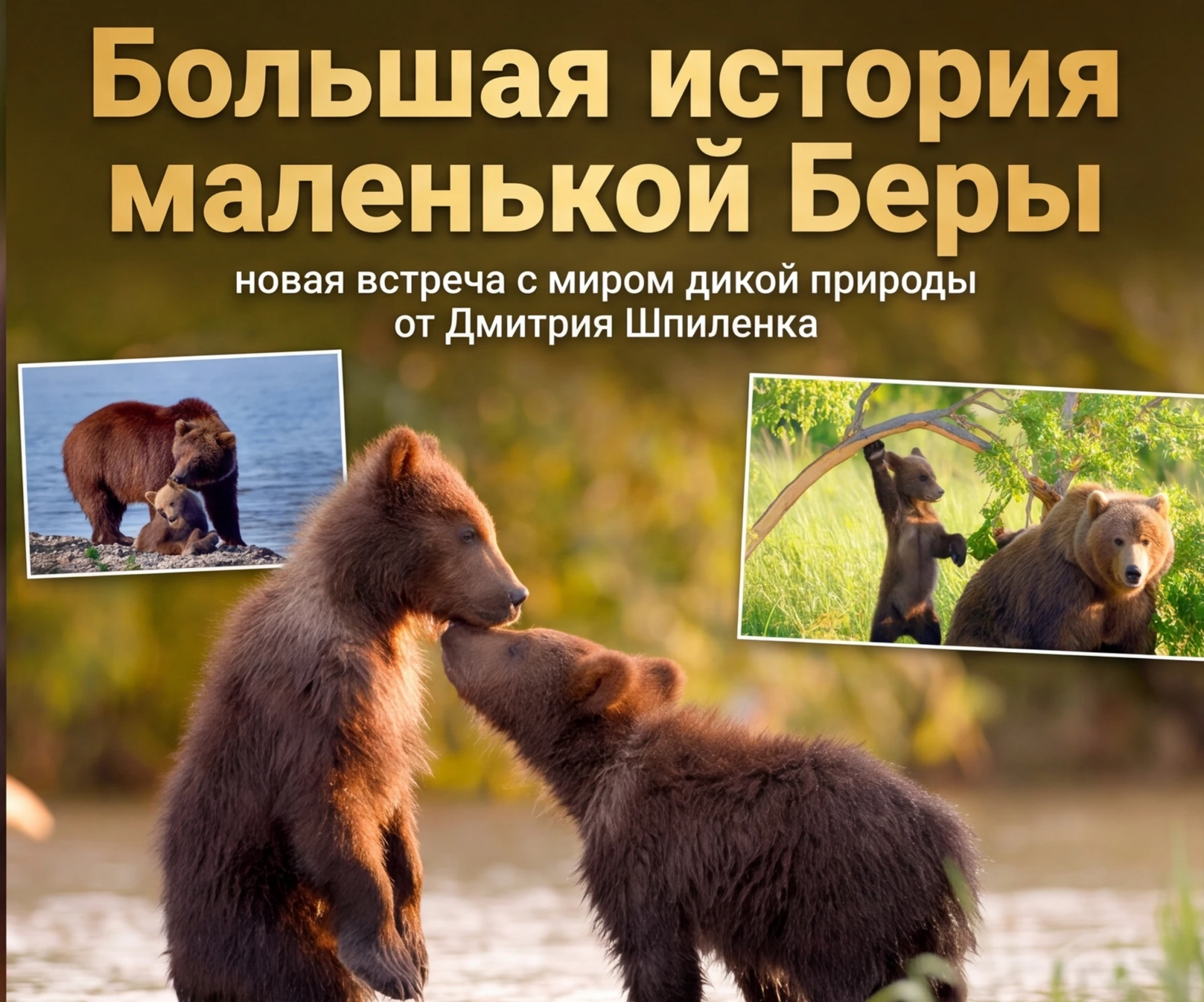 🔹Большая история маленькой Беры: новая встреча с миром дикой природы от Дмитрия Шпиленка