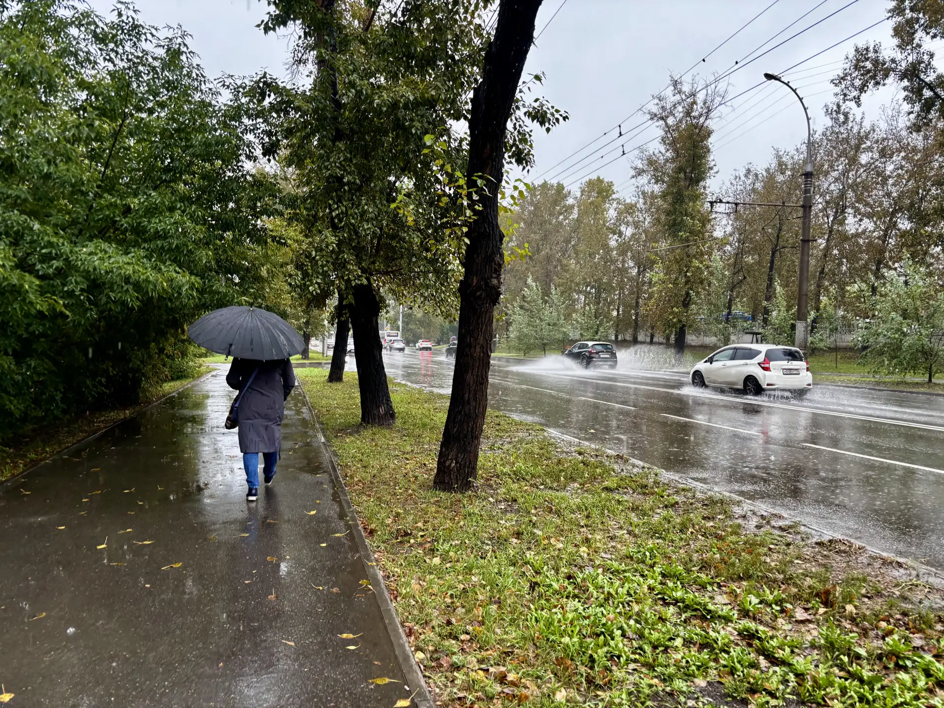 🌧️ Пешеходы, официально приносим извинения!