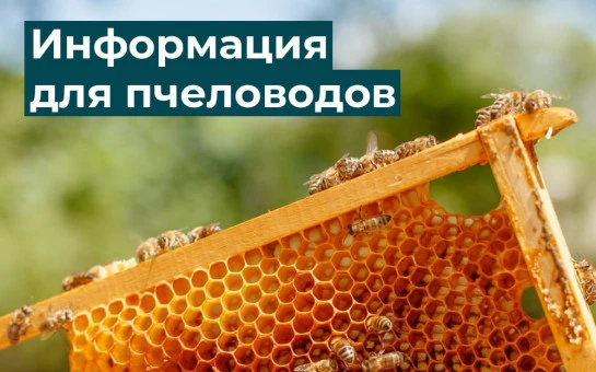 ОГАУ «Станция по борьбе с болезнями животных по Губкинскому городскому округу и Прохоро...