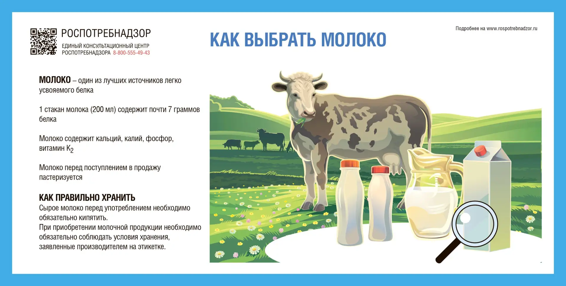 Рекомендации по выбору молока и молочных продуктов 🥛
