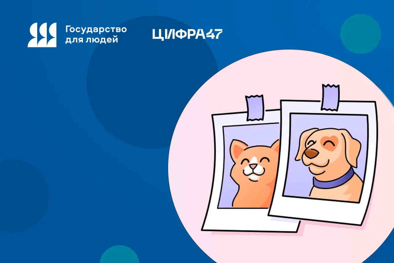 🐶 «Мой питомец»: Полезные сервисы для владельцев животных – на Госуслугах 
 
🔵 Узнать, какие серви