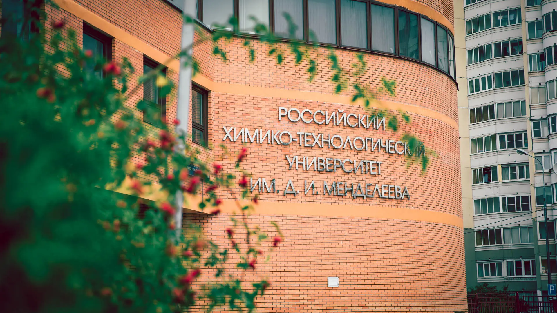 🎉 Новая публикация ученых РХТУ — в международном журнале Biomaterials Advances