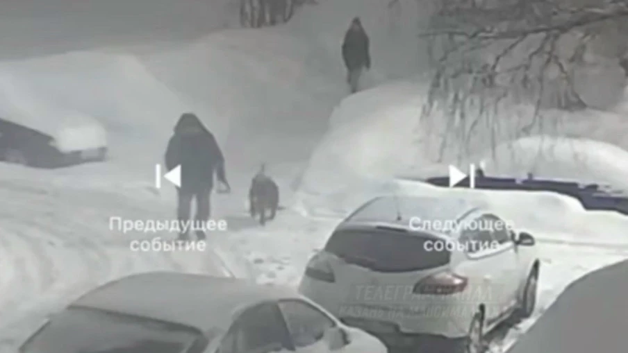 ❗️На Братьев Касимовых жестоко избили собаку: волонтёры подозревают, что в районе оруду...