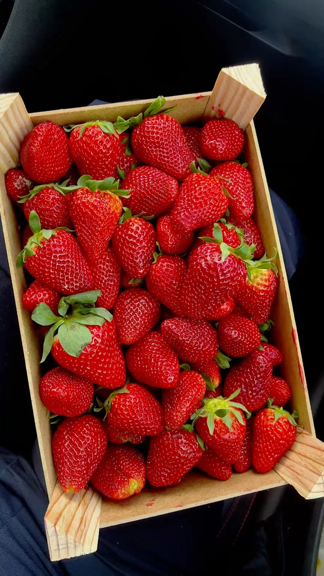 🍓 Как выбрать действительно вкусную клубнику

Каждый год в сезон многие покупают красивую клубнику,