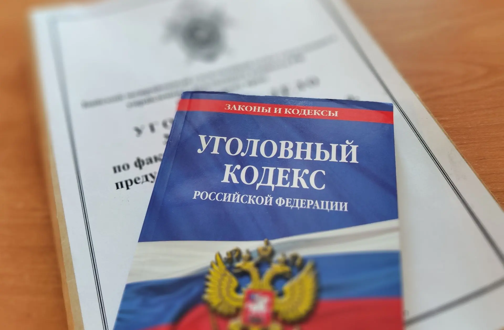 ❗️В Шипуновском районе опекун двух несовершеннолетних детей предстанет перед судом по о...