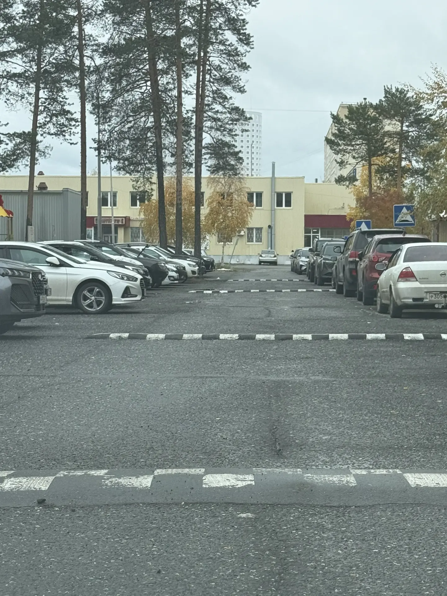 🚙 «Осторожно, лежачий полицейский! Или как я чуть не оставила подвеску во дворе» 🚙
