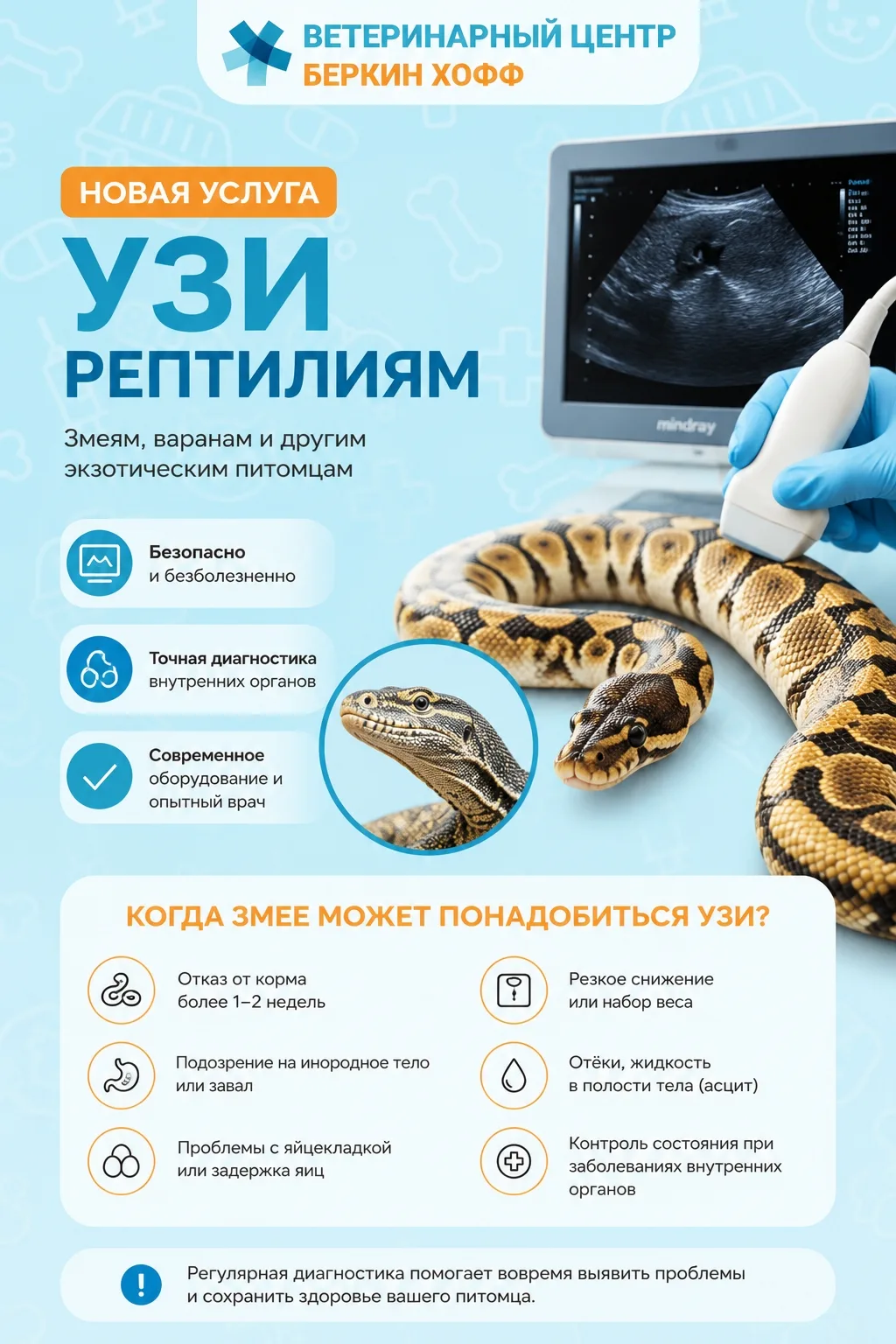 🦎 Новая услуга в Ветеринарном Центре Беркин Хофф — УЗИ для рептилий!
