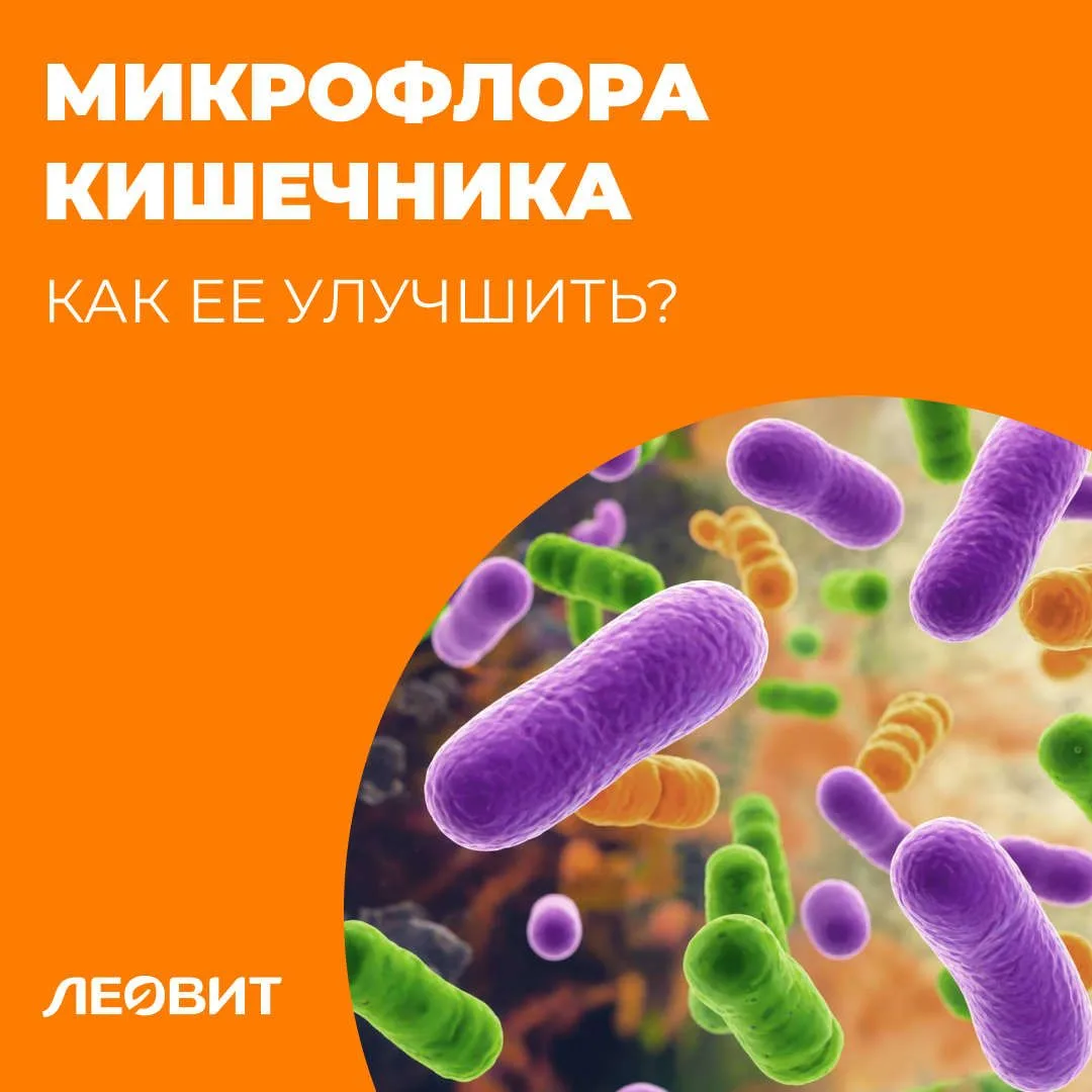 Как улучшить микрофлору кишечника?

Тяжесть после еды, вздутие, урчание, нерегулярный стул? Иногда т