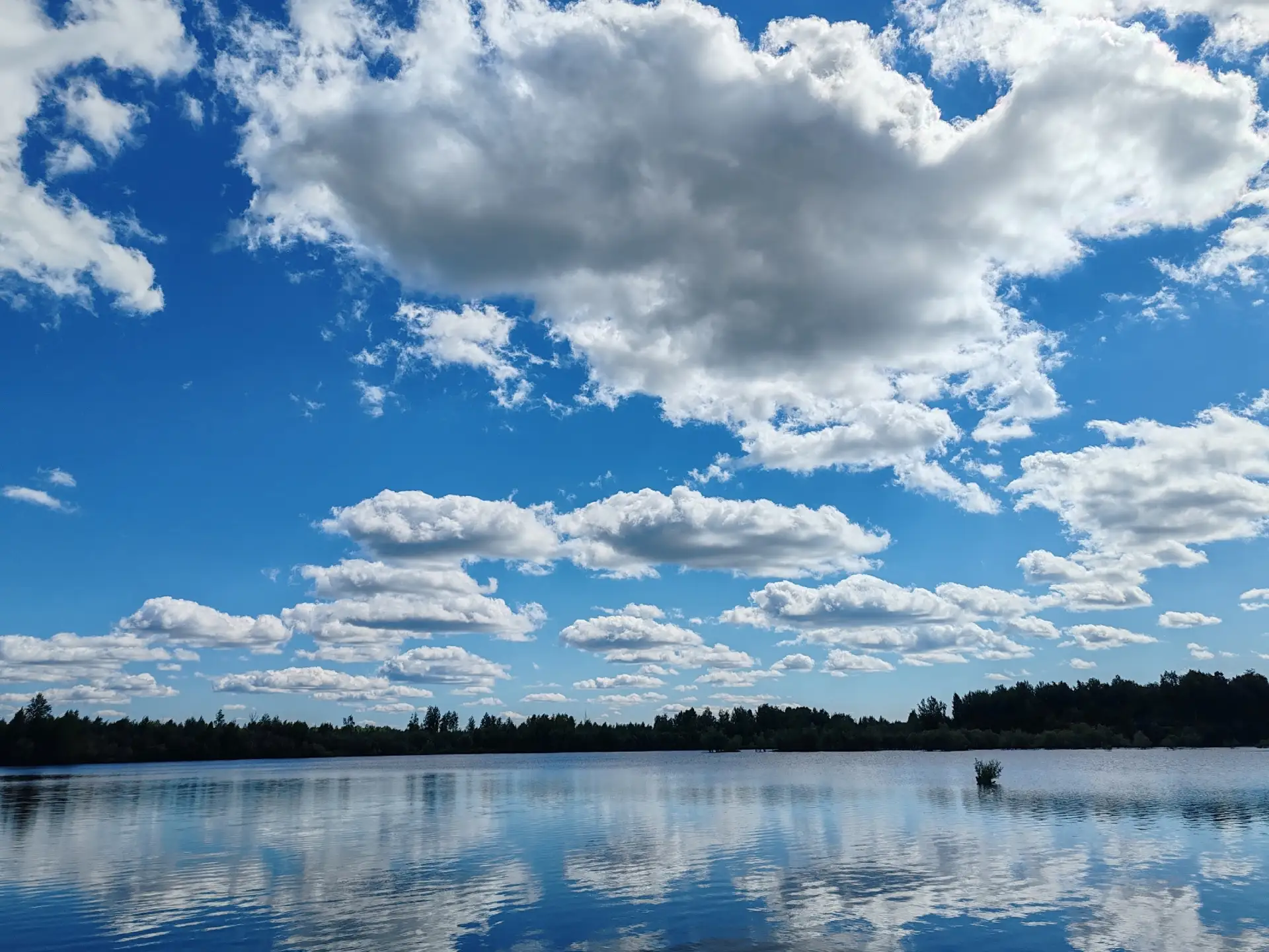 ☀ Доброе утро, понедельник! 
Новая неделя начинается – пусть в ней будет место не только делам, но и
