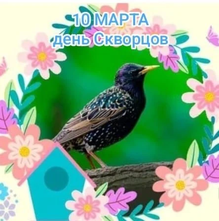 Встречаем весну вместе со скворцами!