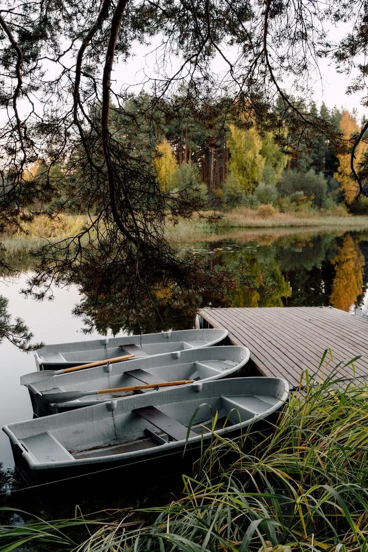 🌿 Просить трудно, если кажется, что нужно заранее гарантировать согласие.