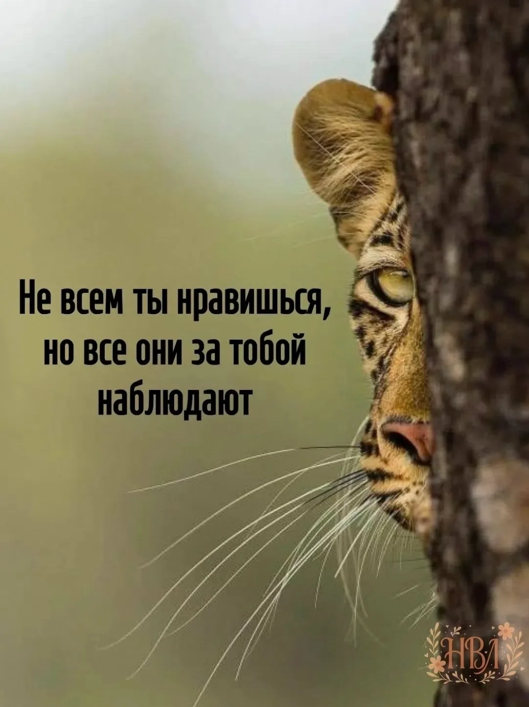 Мудрость слов | цитаты Мудрость слов | цитаты