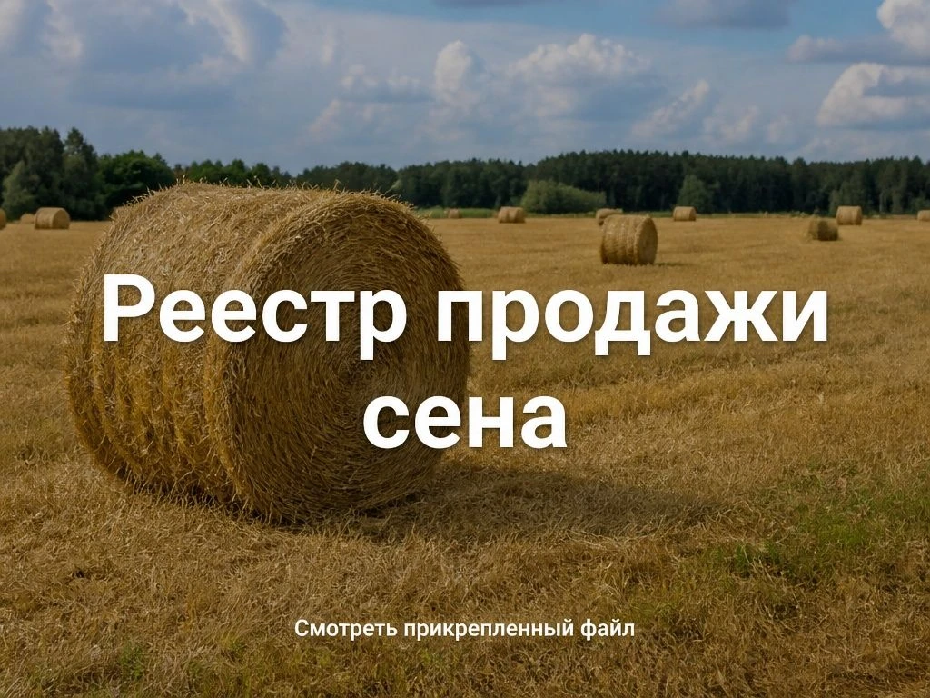 Смотреть здесь: