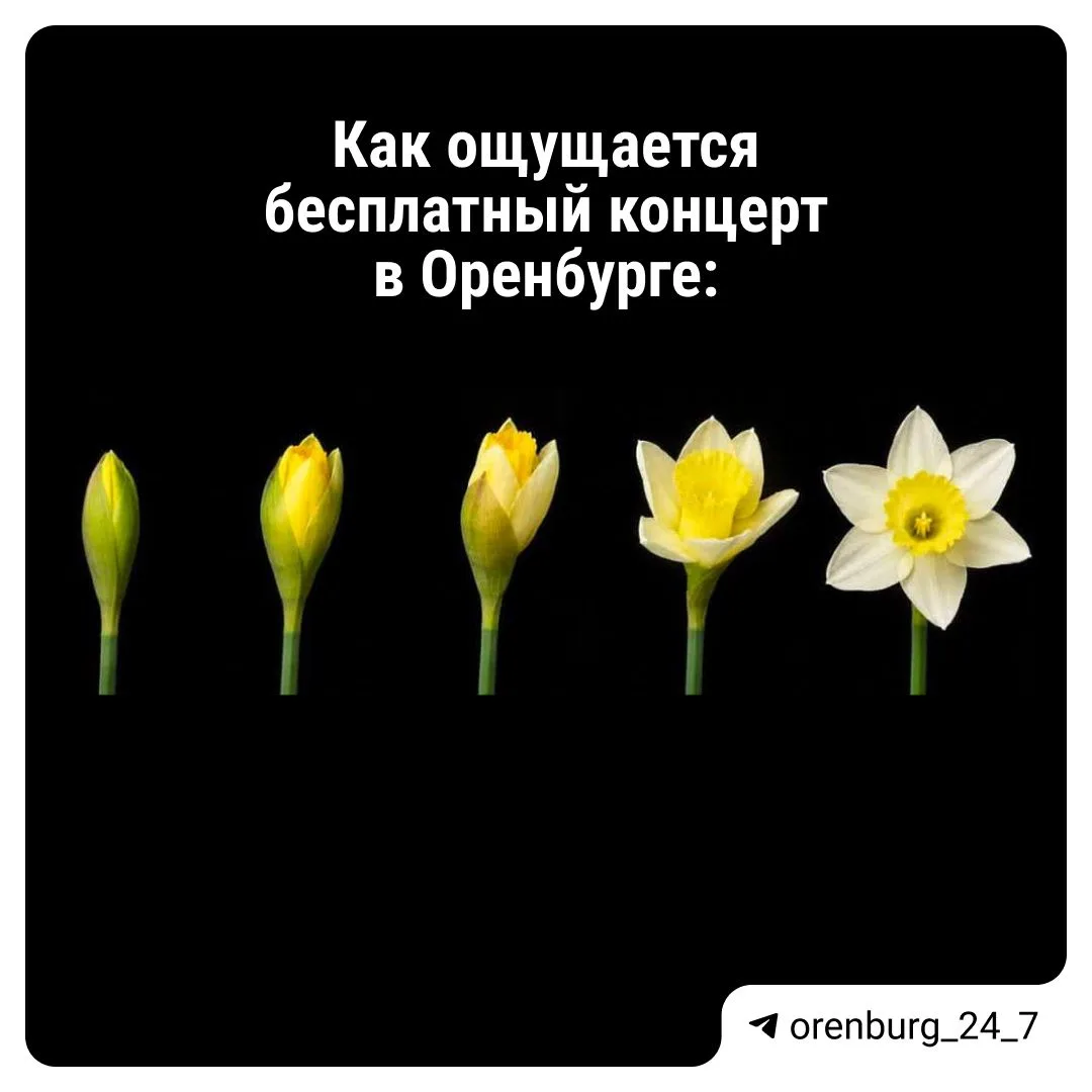 Мы знаем что чувствует каждый оренбуржец.

Угадали? Ставьте ❤️, если да!

Желаем, чтобы в вашей душе