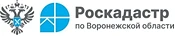Воронежцы узнают, как получить землеустроительную документацию
