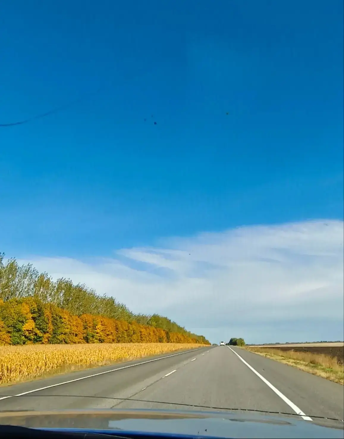 Доброе утро. ☀️