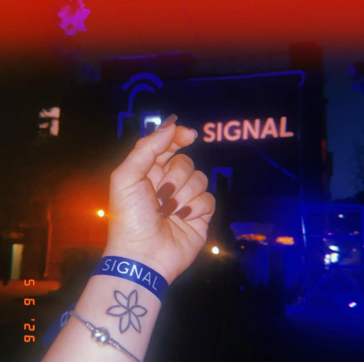 Охрана фестиваля Signal снова (опять) нападает на гостей. Два года назад там убили чело...