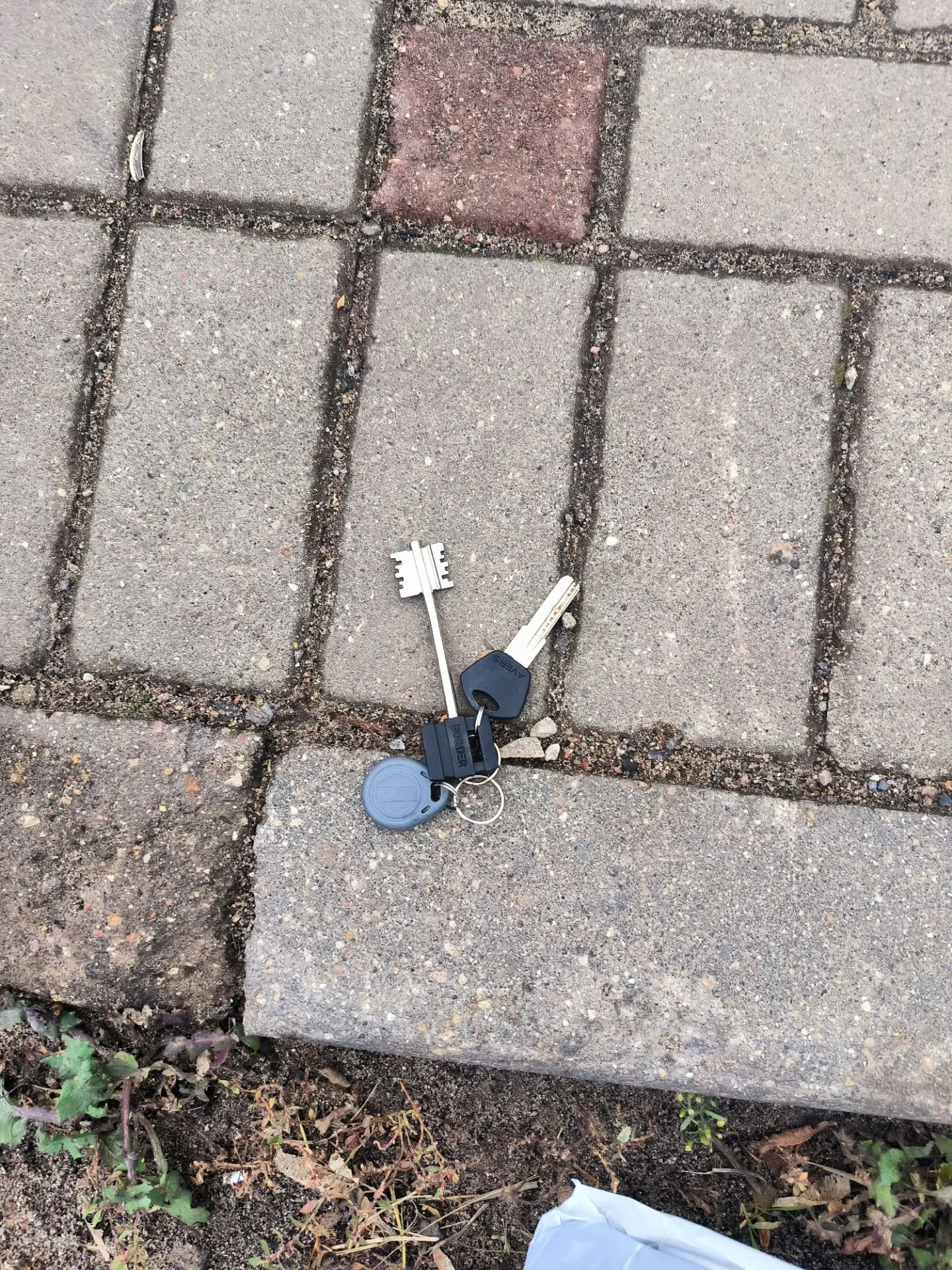 Найдены ключи на бережке . Лежат на лавке , напротив места , где кормят уток