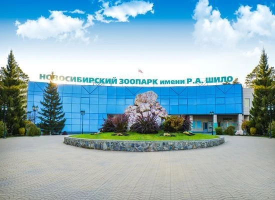 🌆ДОСТУПНЫЙ НОВОСИБИРСК