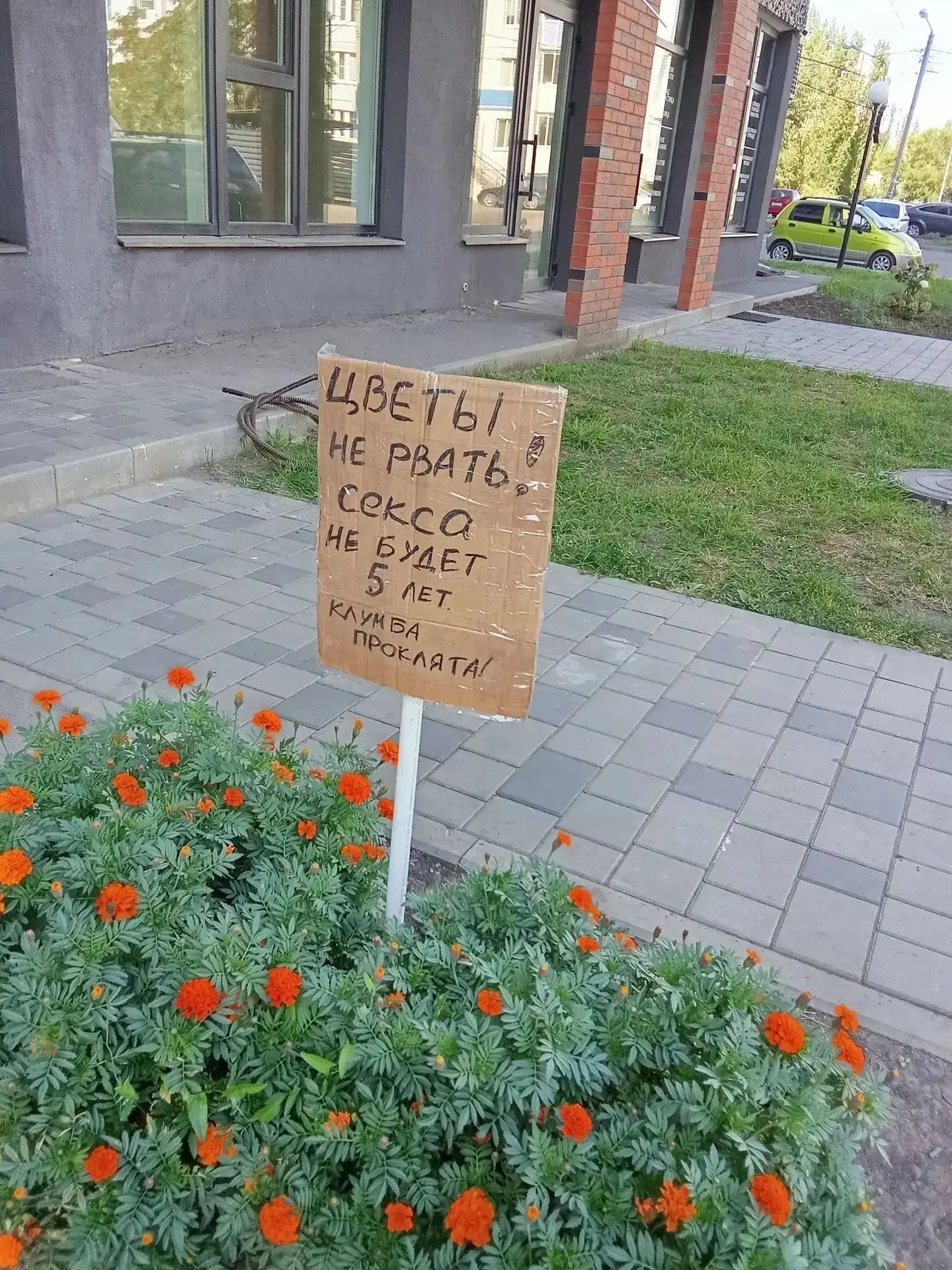 Теперь даже самый отчаянный романтик подумает дважды, прежде чем сорвать цветочек