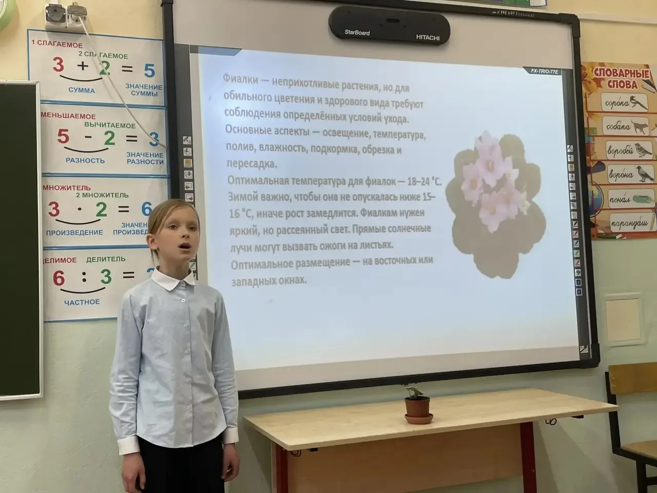 Сегодня в начальной школе прошел второй день защиты проектов. Учащиеся 2 и 3 классов представили сво