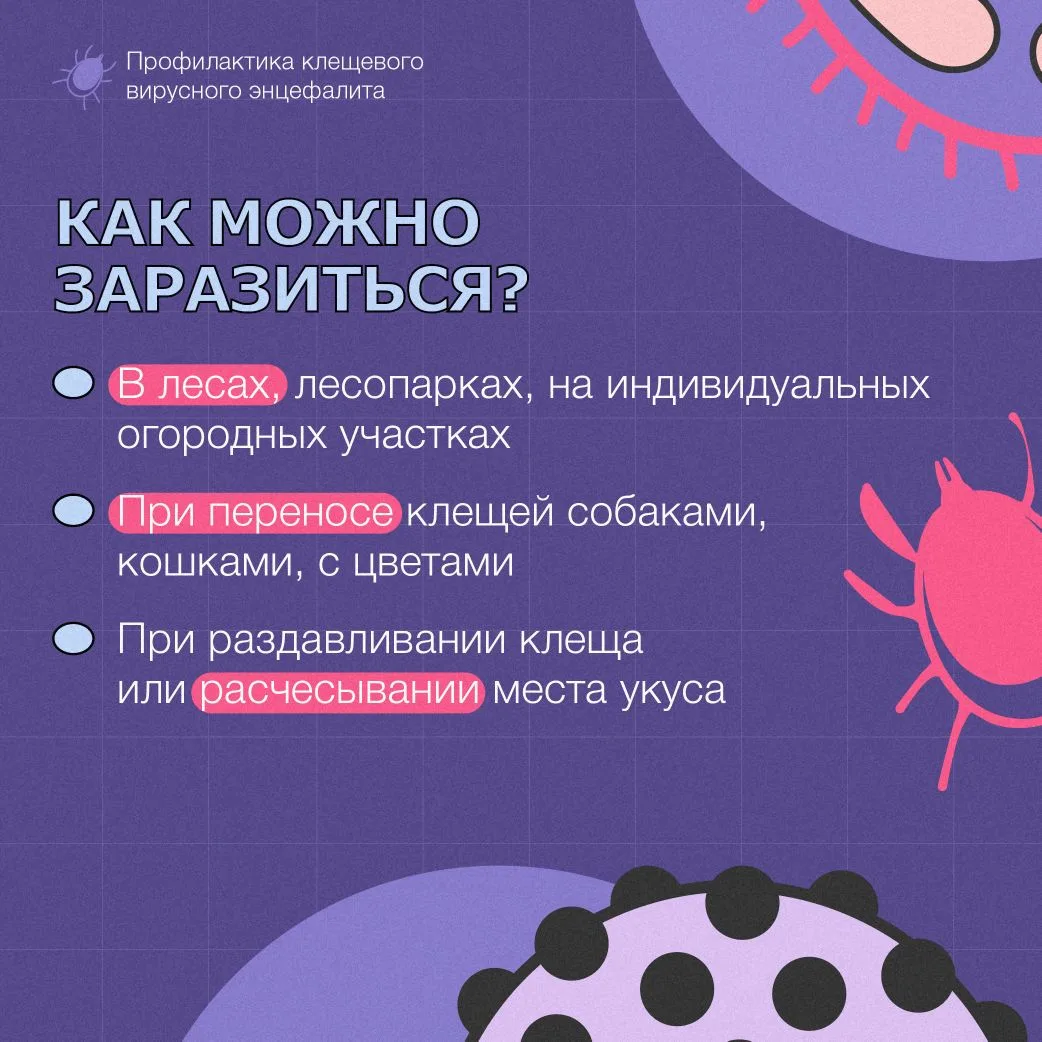 🌳 Майские праздники — время пикников, прогулок и выездов на природу. Лес, свежий возду...