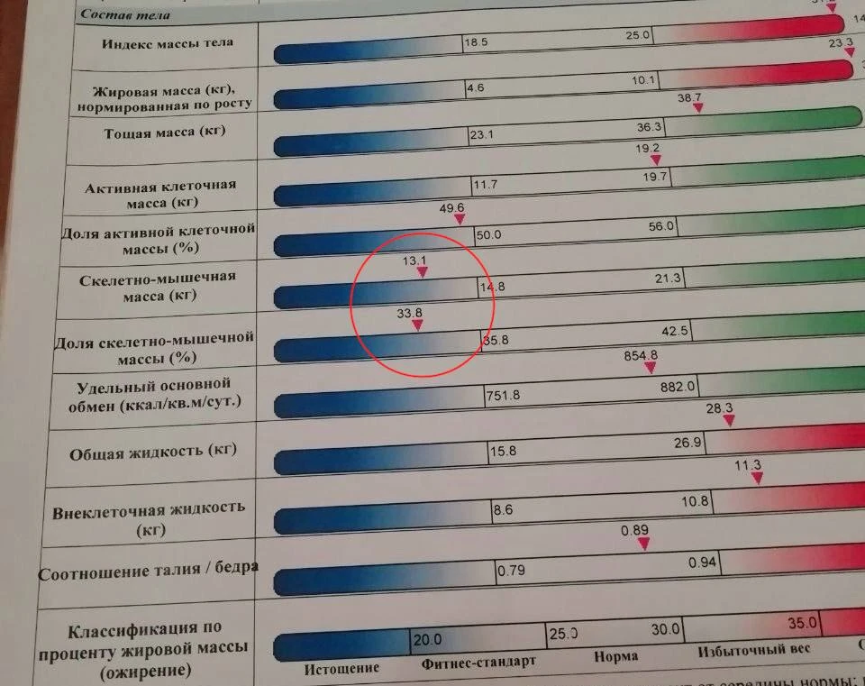 👆Посмотрите на эти два результата биоимпеданса

Слева на фото — недостаток мышечной массы.
Справа —