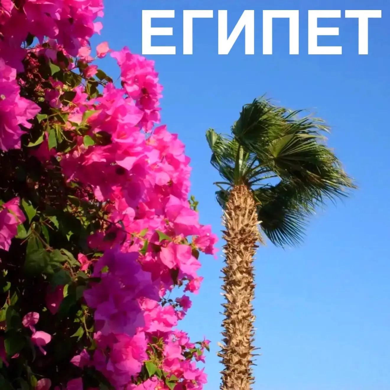 Ах, как хочется в Египет🌺